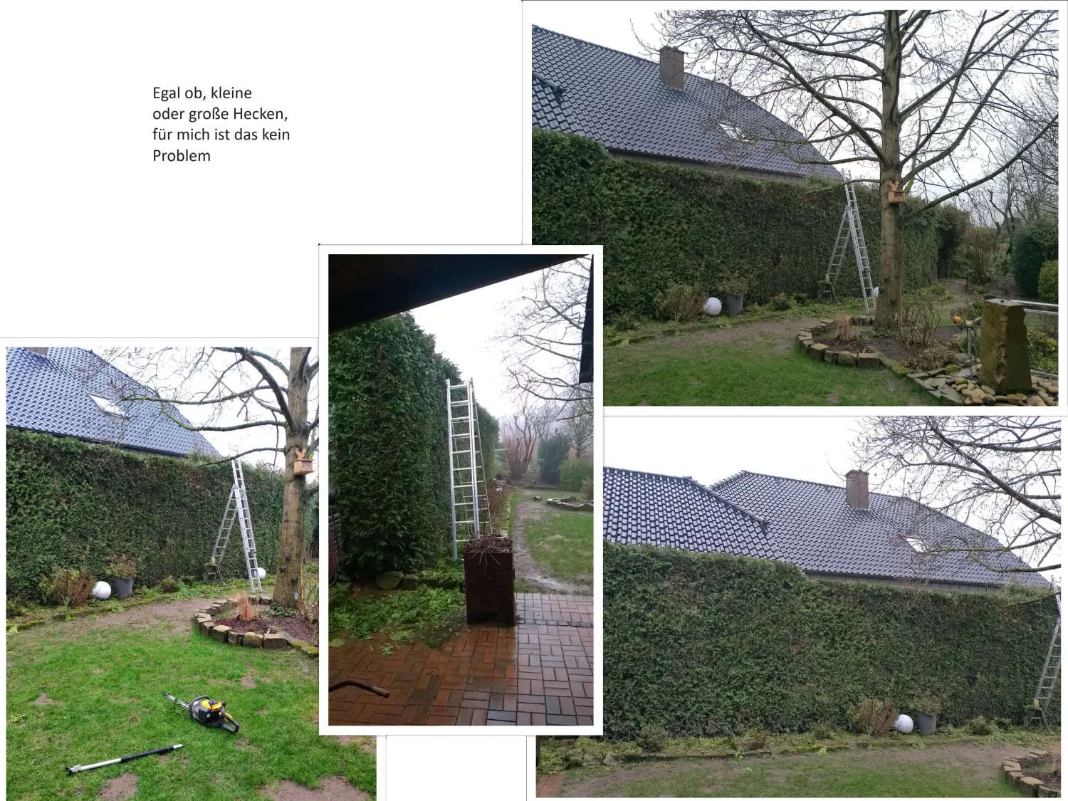 Hausmeisterservice Ralf Schmid, Kleine oder große Hecke